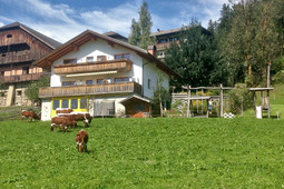 Appartamenti in agriturismo Wirthof