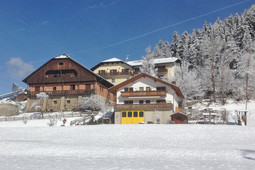 Appartamenti in agriturismo Wirthof