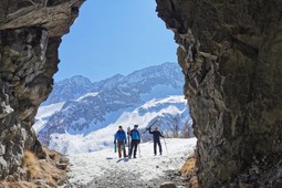 Bergführer Tonale Freeride