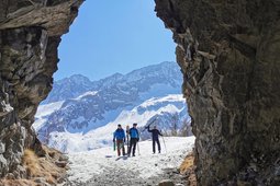 Guida alpina Tonale Freeride