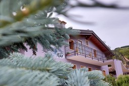 Bed & Breakfast Stella Alpina