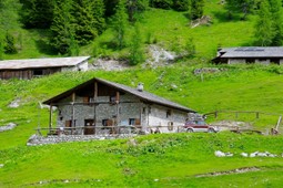 Berghütte Casera Tragonia