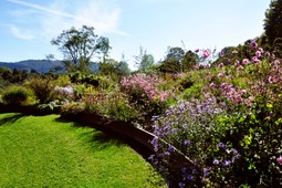 Botanischer Garten Giardino d'Europa
