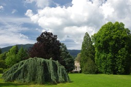 Parco delle Terme di Levico