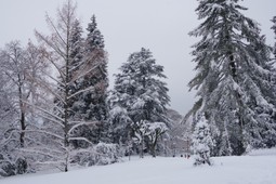 Parco delle Terme di Levico