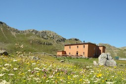 Rifugio Viola