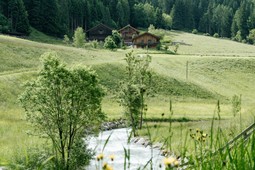 Farmhouse apartments Nösslerhof