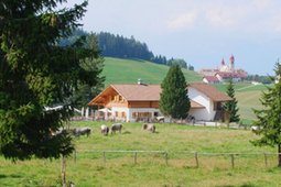 Alpine farm M. S. Pietro