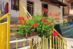 Bed & Breakfast La Marmotta