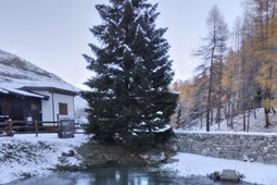 Campingplatz Chisonetto