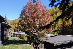 Campingplatz Chisonetto