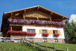Bed & Breakfast Belvedere