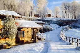 Agriturismo L'Arbo - Appartamenti in baita