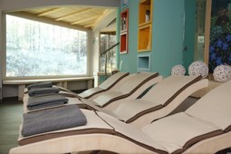 Wellness e Spa Relax Hotel Erica