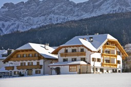 Residence Steiner - Garden