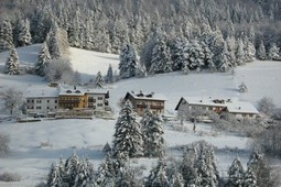 Appartamenti Haus Toller