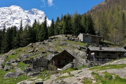 Tourist office Alagna