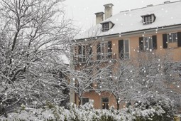 Appartamenti B&B Tiffany