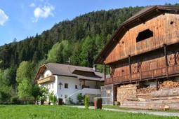 B&B + Ferienwohnungen auf dem Bauernhof Falkenau