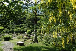 Botanischer Garten Oropa