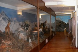 Museo Naturalistico del fiume Po