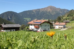 Gasserhof Apartments in Margen