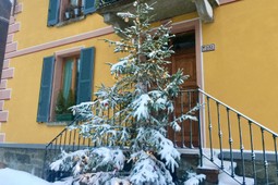 Apartment Casa Weisstor