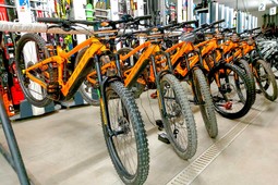 Noleggio bici Botteroski Limone