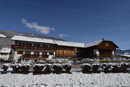 Ferienwohnungen auf dem Bauernhof Niedermairhof