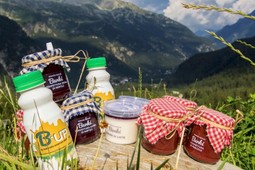 Landwirtschaftlicher Betrieb Burki