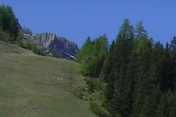 Apartments Alpenroyal