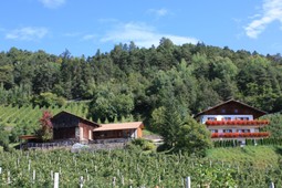 Farmhouse apartments Masunerhof