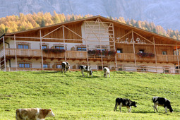 Bottega del Maso Lüch da Pcëi