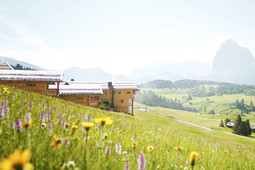 ADLER Lodge ALPE