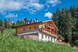 Apartment Mittermanting