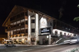 Hotel Alpin Haus