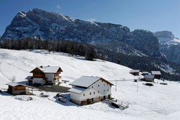 Farmhouse B&B + Apartments Tubla