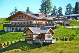 Mountain hut Rudi Hütte