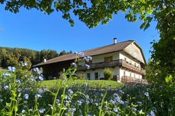 Ferienwohnung Schöpfer Hof