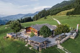 Alpine farm Tuffalm