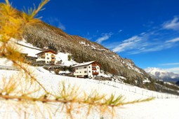 Ferienwohnungen auf dem Bauernhof Berghof