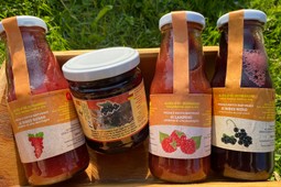 Landwirtschaftlicher Betrieb Alpes d'OC Morinesio