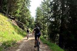 Fahrradverleih Biking Alps Roisan