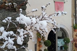 B&B in agriturismo La Ciasa Del Fabio