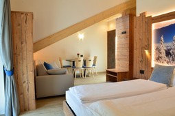 Aria Alpina Guest House