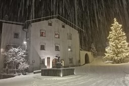 B&B + Ferienwohnungen auf dem Bauernhof Ansitz Zehentner