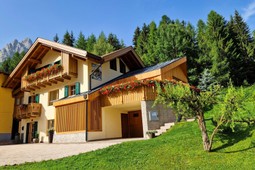 Chalet La Ciaseta