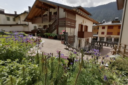 Apartment Stella Alpina