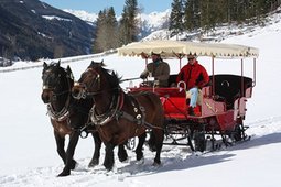 Carriage rides Obergruberhof