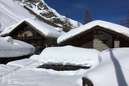 Apartments Le jardin des anglais 1815